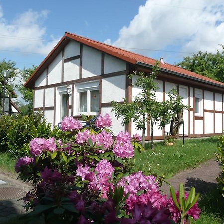 Ferienhaus Kogge Im Feriendorf Alt Bachenbrock Экстерьер фото